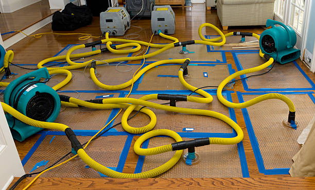 Professional Crawl Space Water Removal technician working in San Jacinto, CA